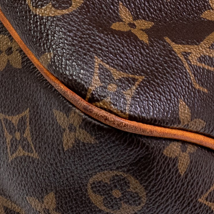 Louis Vuitton Delightful PM