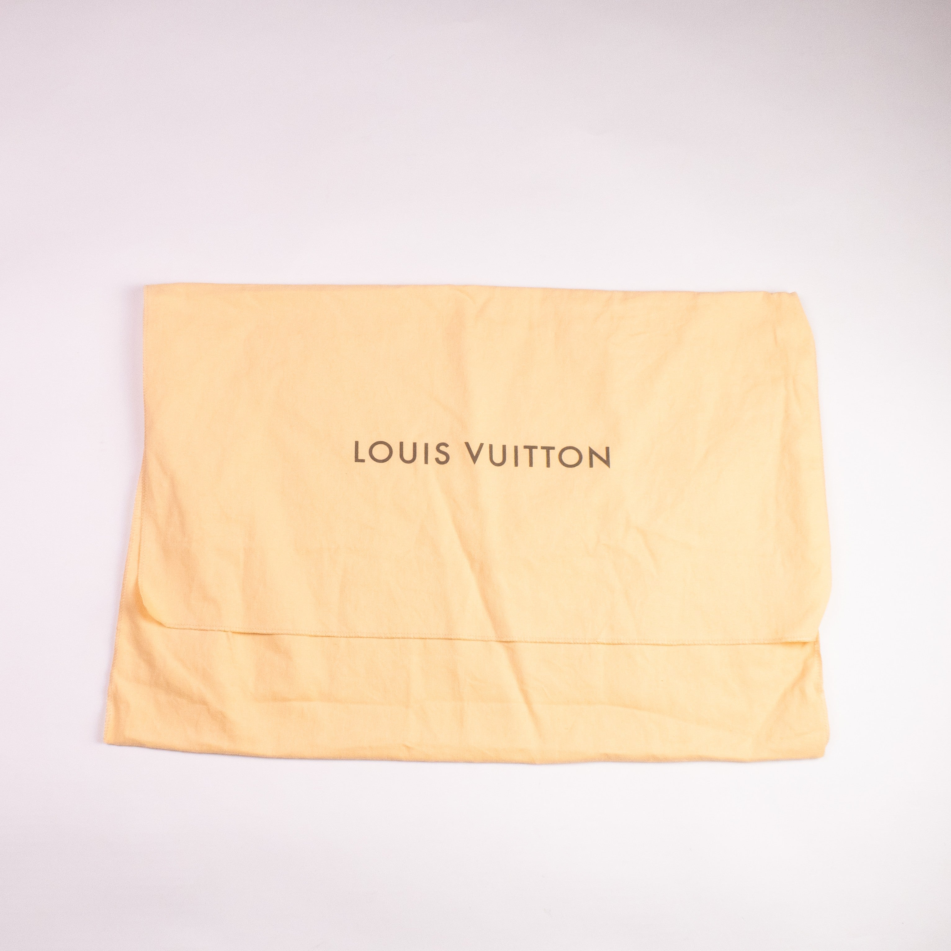Louis Vuitton Delightful PM