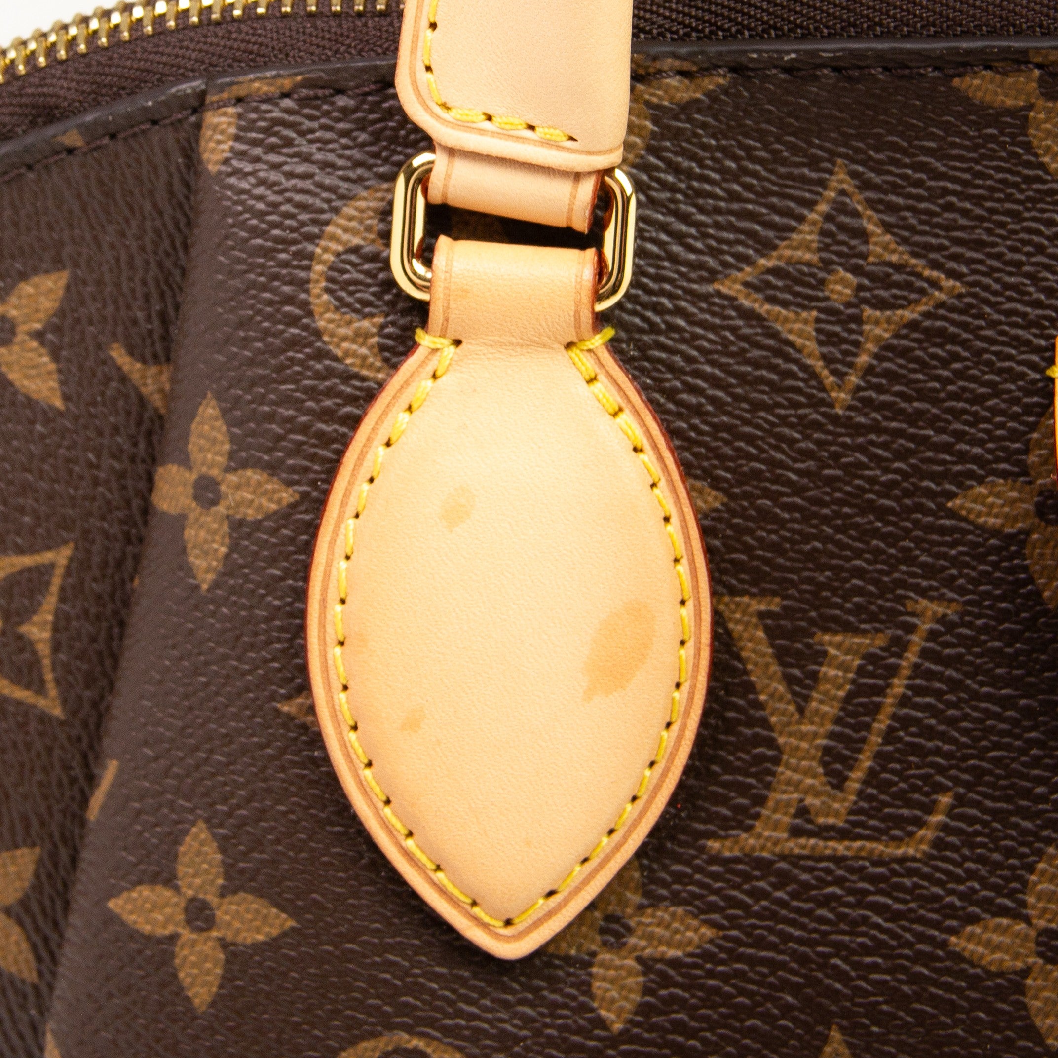 Louis Vuitton Rivoli MM