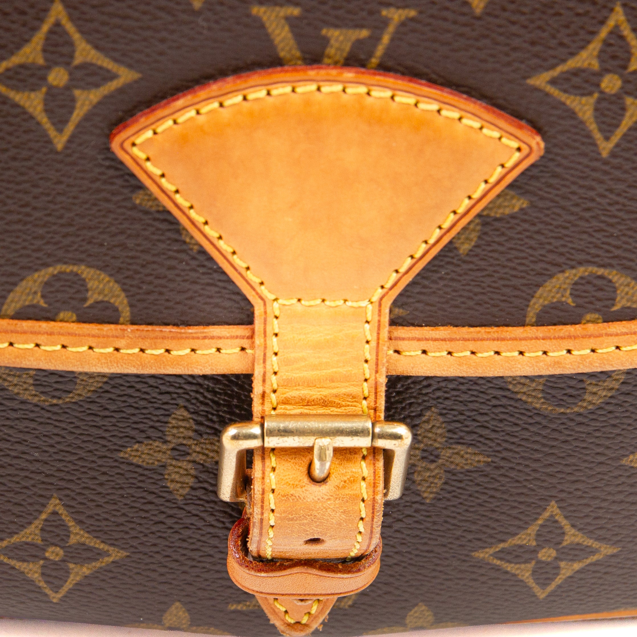 Louis Vuitton Sologne Crossbody