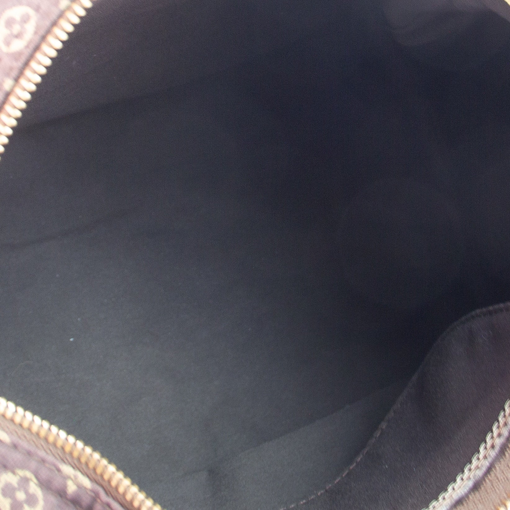 Louis Vuitton Mini Lin Speedy 30