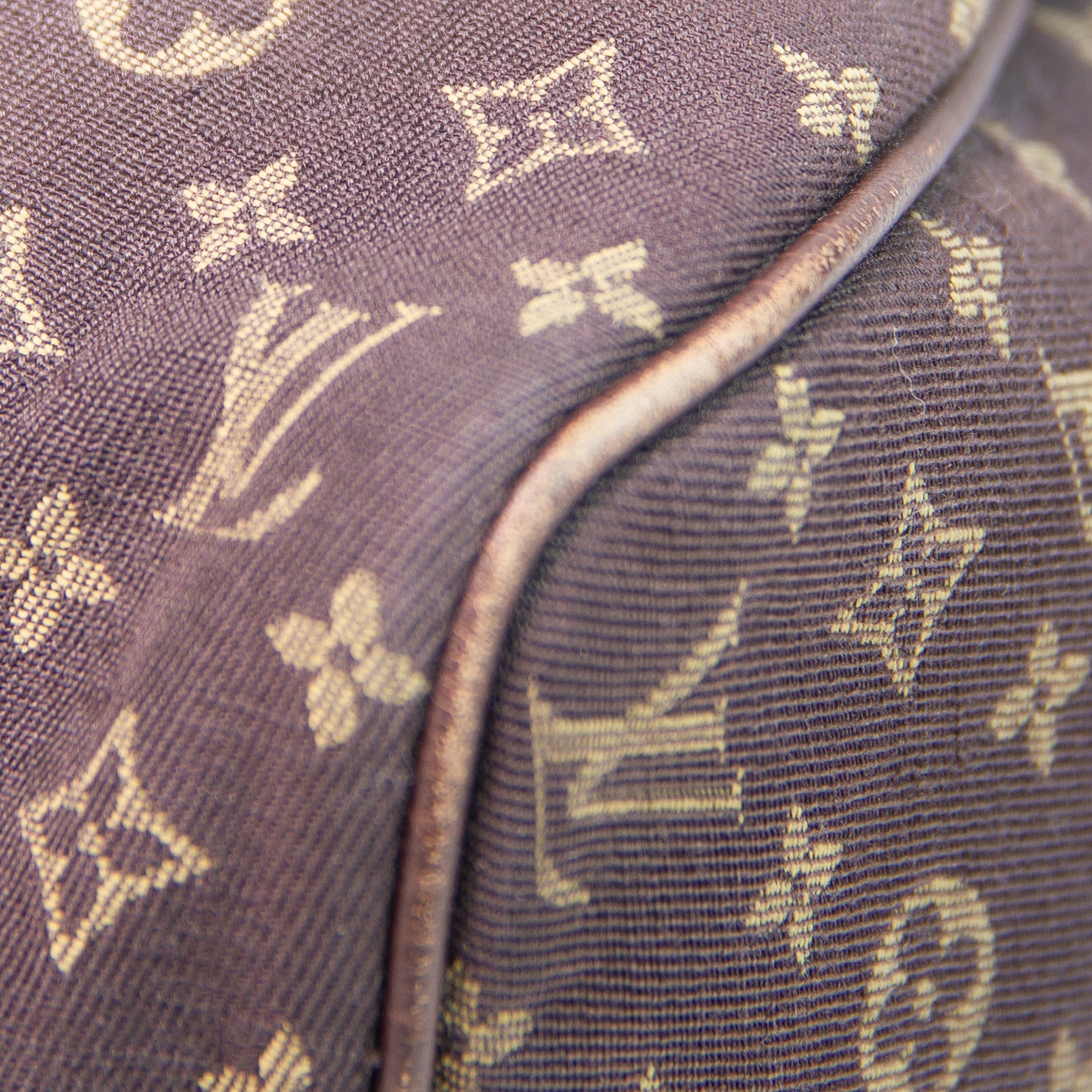 Louis Vuitton Mini Lin Speedy 30