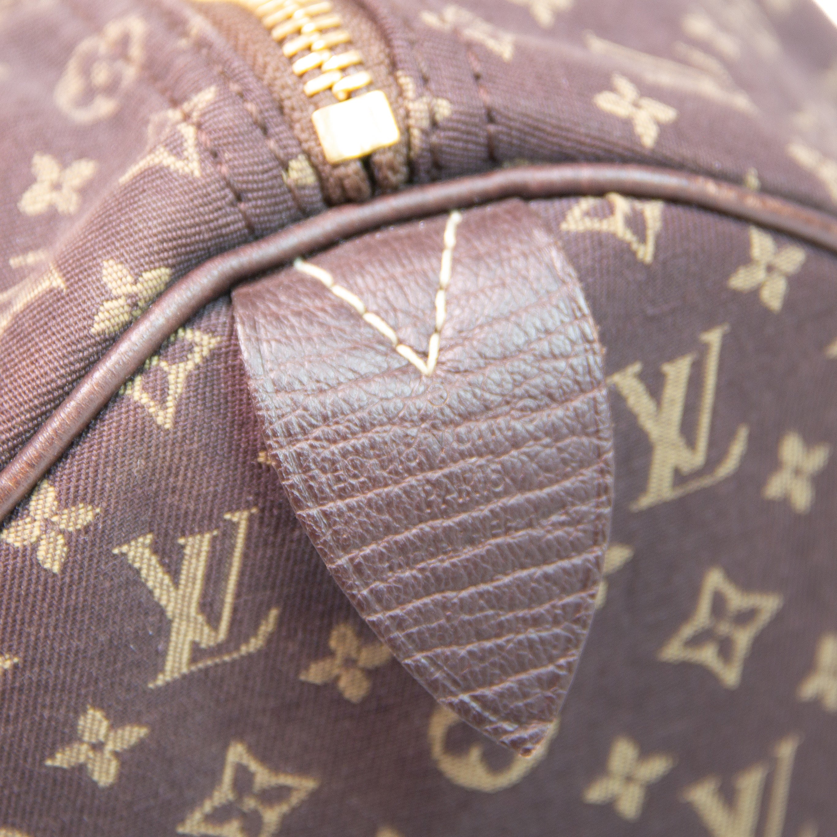Louis Vuitton Mini Lin Speedy 30