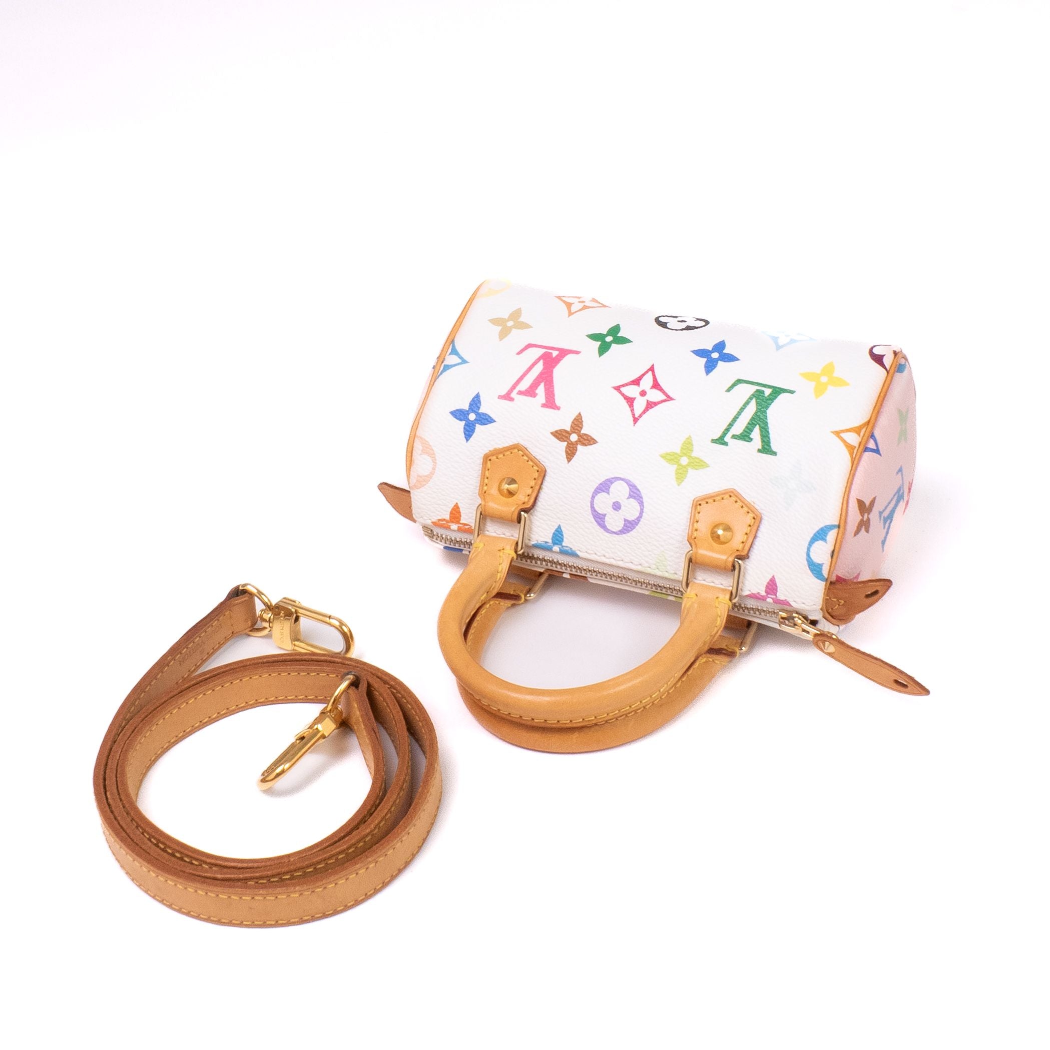 Louis Vuitton Murakami Nano Speedy Bag