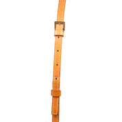 Louis Vuitton Trotteur Crossbody