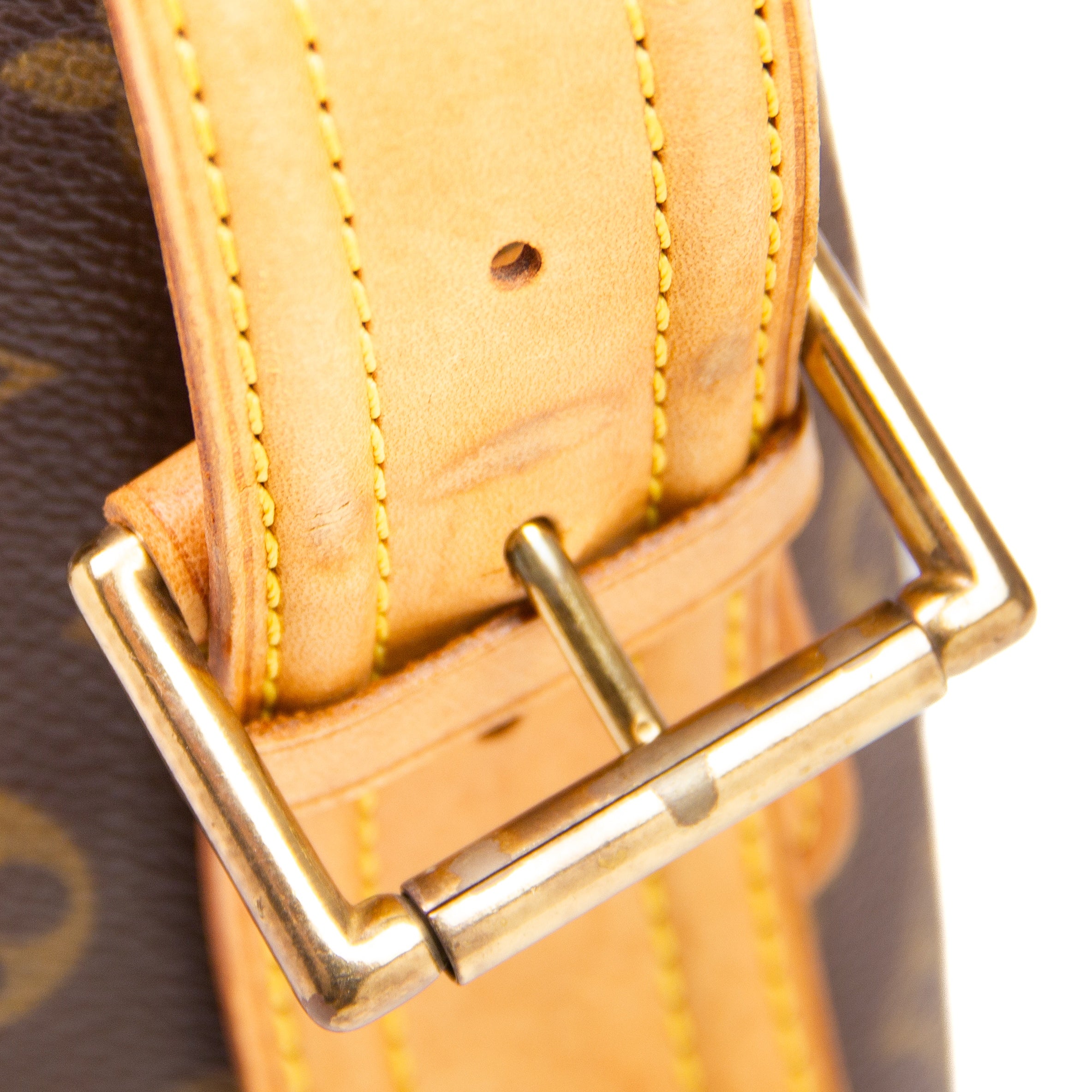 Louis Vuitton Viva Cité GM