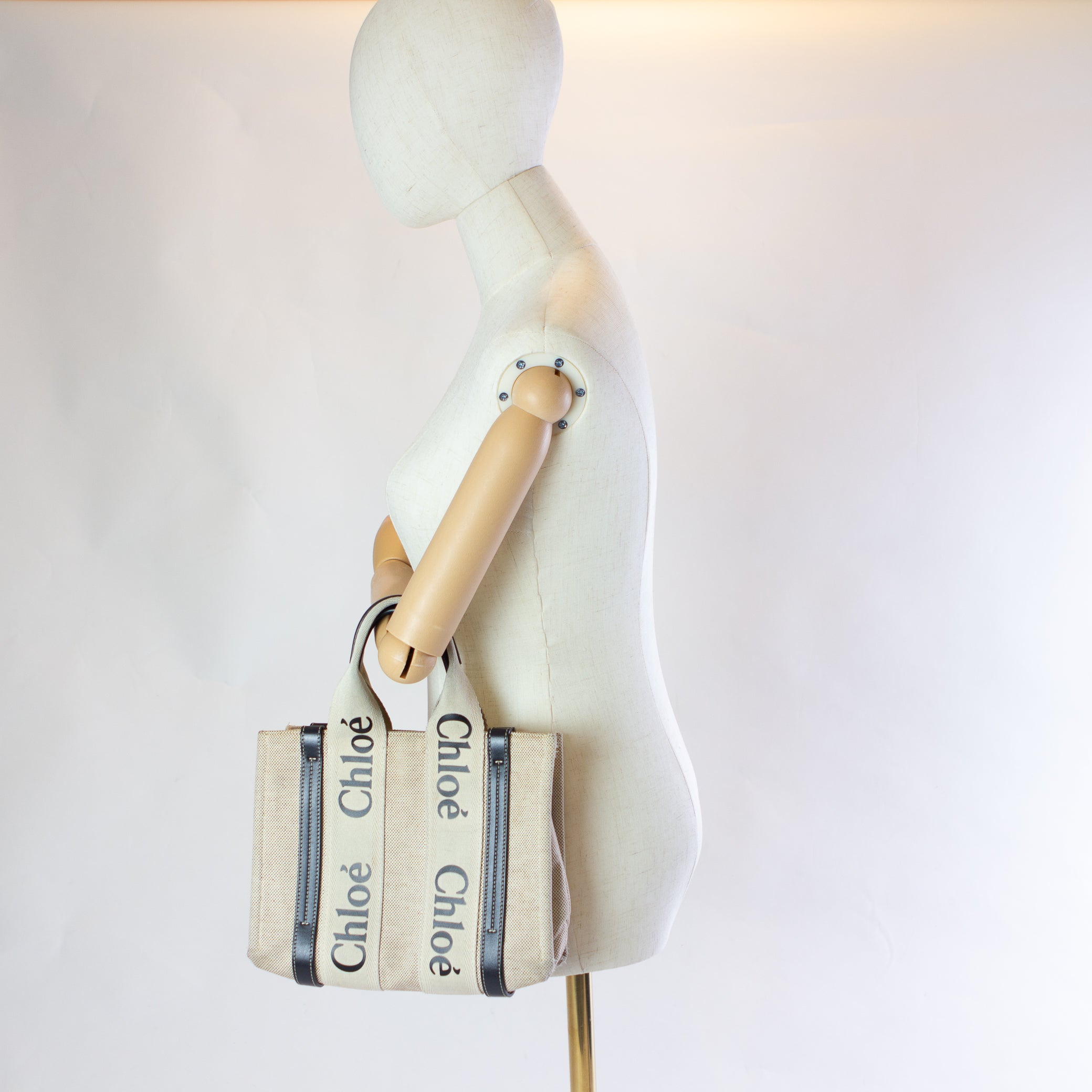 Chloé Woody Small Handbag