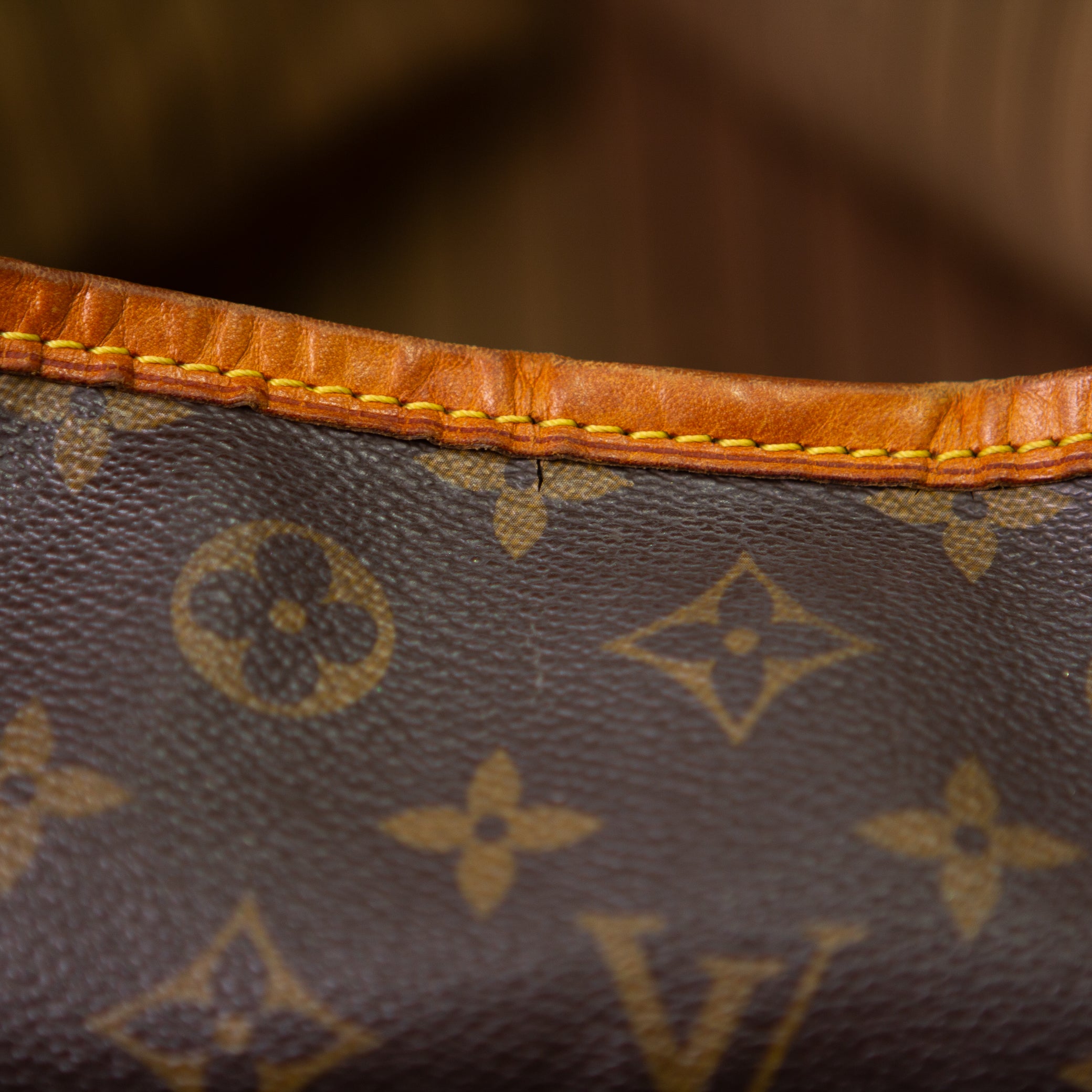 Louis Vuitton Delightful PM