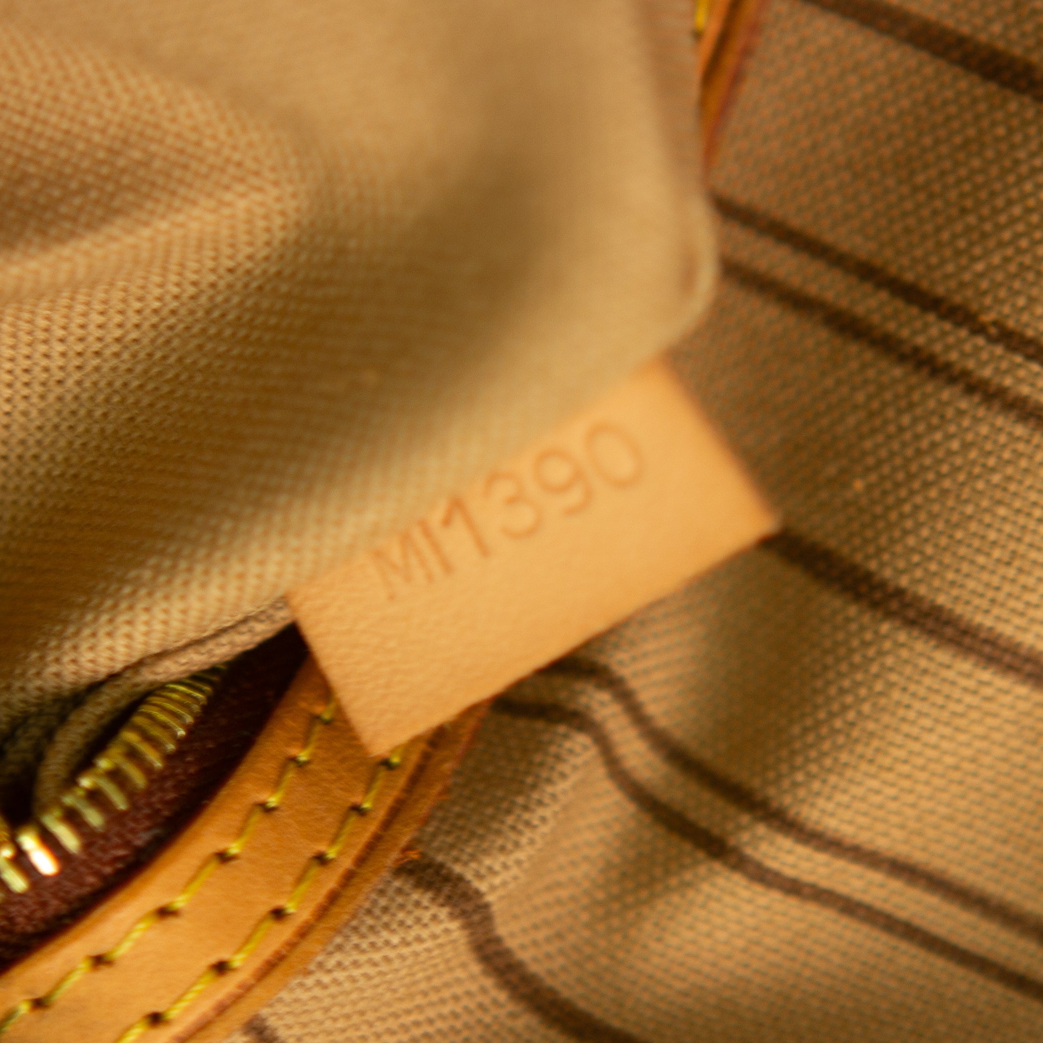 Louis Vuitton Delightful MM