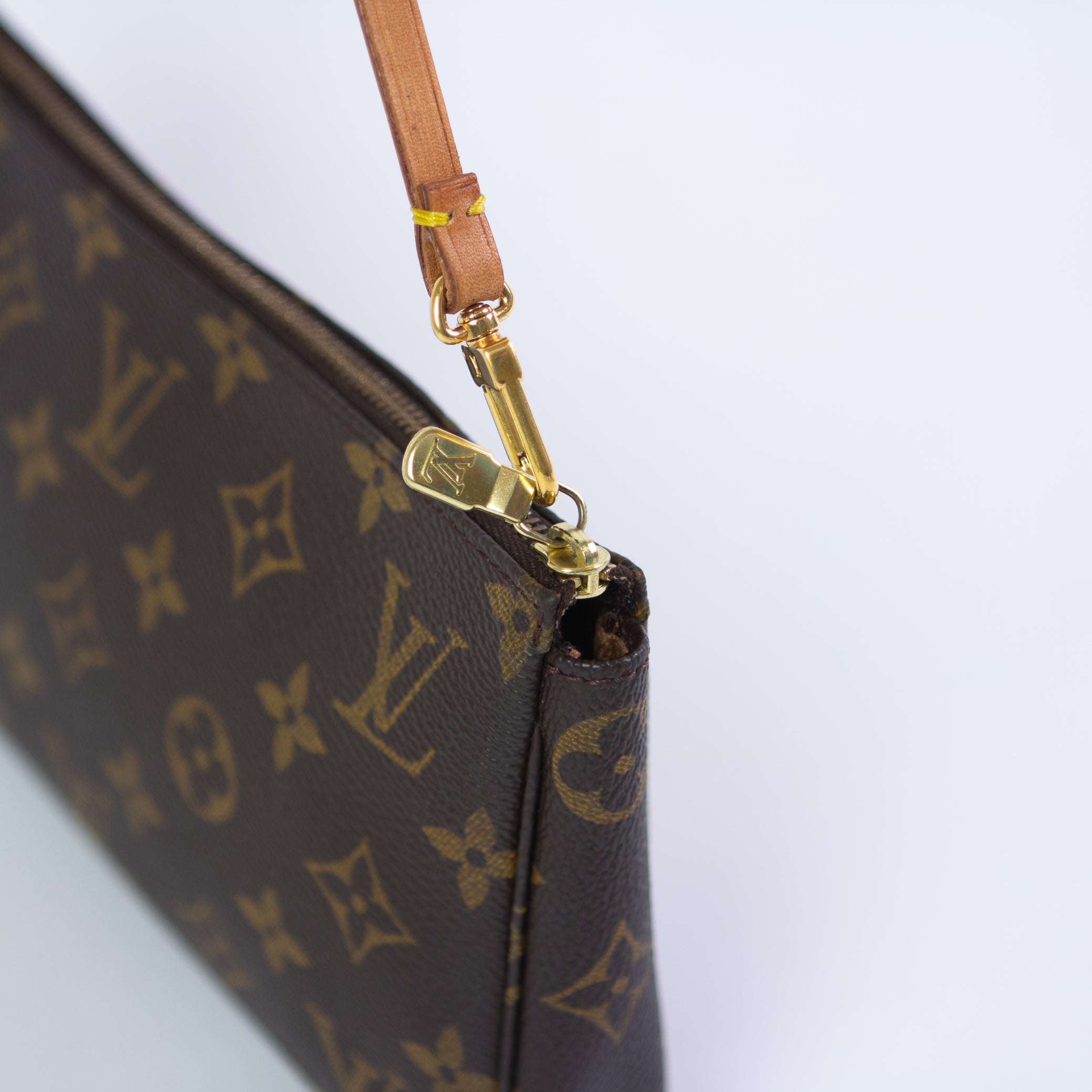 Louis Vuitton Pochette Accessoires