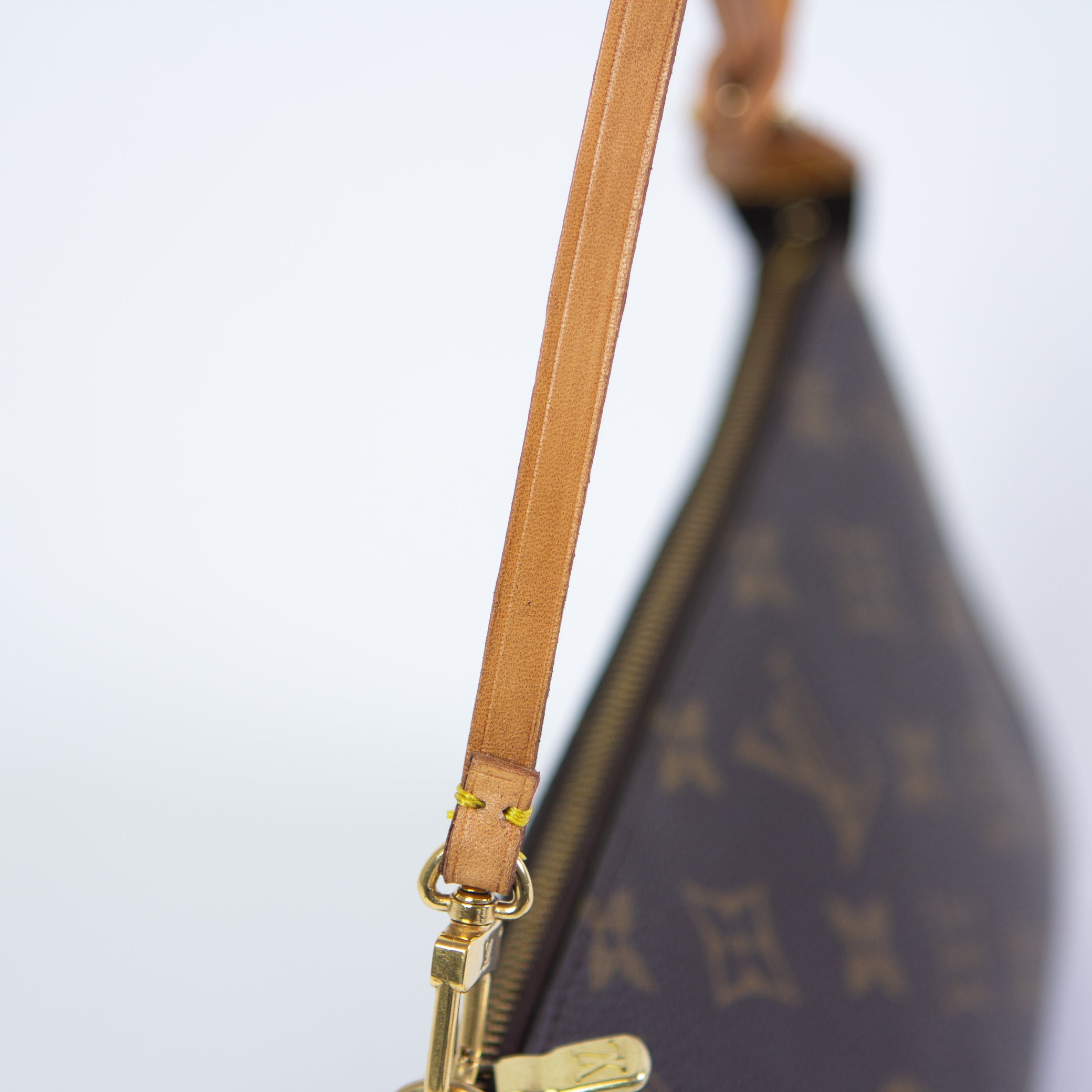 Louis Vuitton Pochette Accessoires