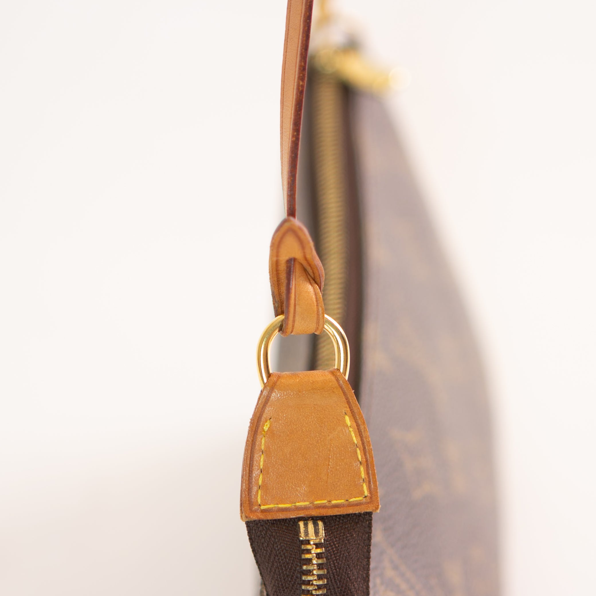 Louis Vuitton Pochette Accessoires